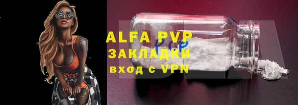 сатива Абаза