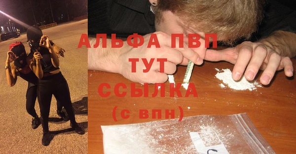 сатива Абаза