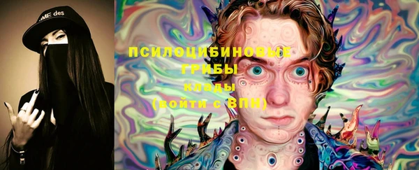 сатива Абаза
