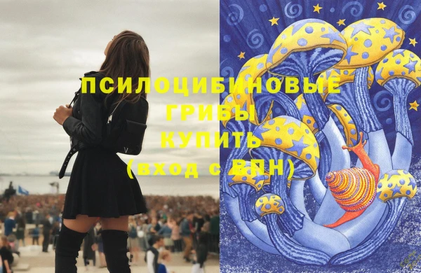 ECSTASY Абинск