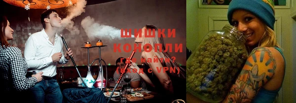 сатива Абаза