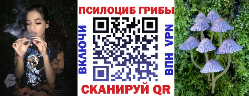 Галлюциногенные грибы ЛСД  хочу   Тбилисская 